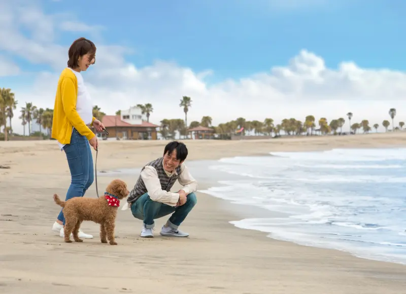 和愛犬在海灘散步